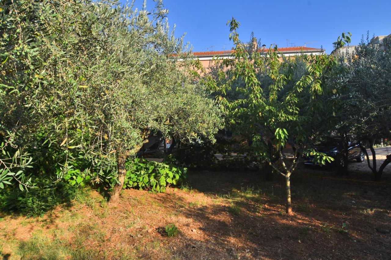 Apartments Edita Zadar Ngoại thất bức ảnh